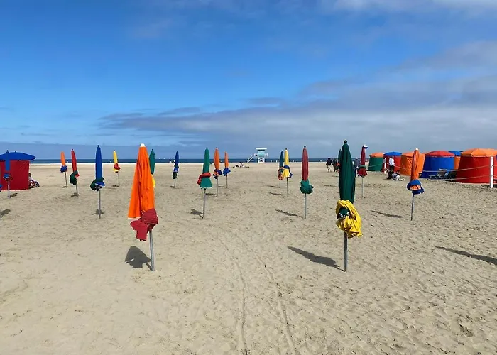 Celestine Yourhosthelper