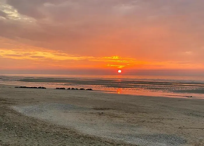 Celestine Yourhosthelper