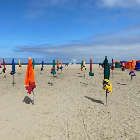 Celestine Yourhosthelper