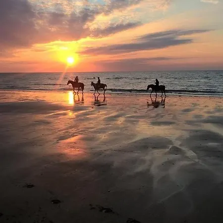 Vila Celestine Yourhosthelper *