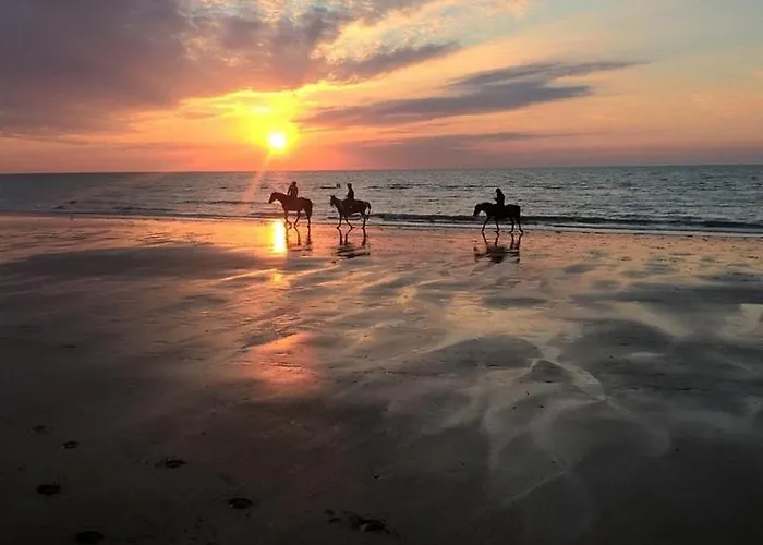 빌라 Celestine Yourhosthelper *